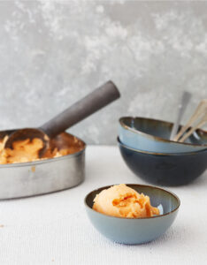 hoewordje100-meloenijs-van-caroline