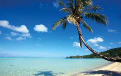 De macht van de voedingsindustrie en wat de Tokelau-eilandengroep ons leert over gezonde voeding