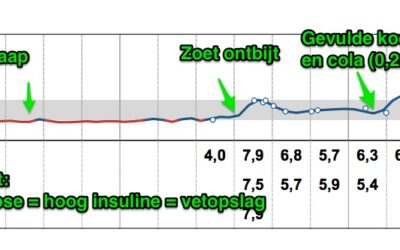 Waarom kom je aan van stress?