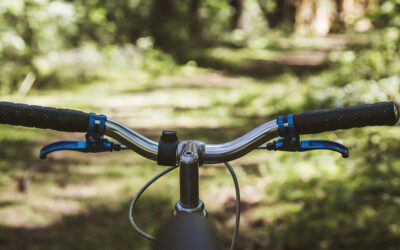 Hoe word ik zelf honderd?